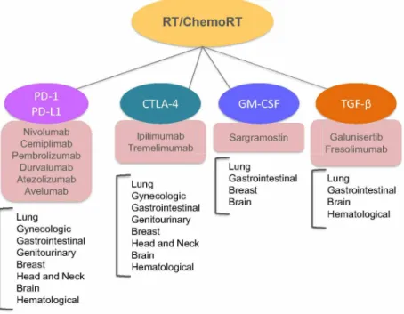 Fig. 1.  Immunomodulators used in ongoing/past clinicaltrials, in combination with radiotherapy/chemoradiotherapy
