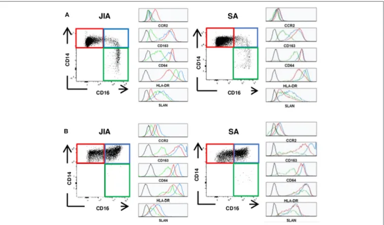 FIGURE 1 | Representative staining of monocyte subsets. Representative dot plots of the classical (CD14 ++ CD16 − , red), intermediate (CD14 ++ CD16 + , blue) and non-classical (CD14 + CD16 ++ , green) monocytes and representative histograms for the variou