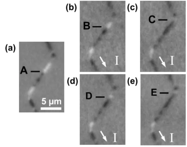 FIG. 2: XMCD-PEEM images of the FeNi layer of a 400 nm wide spin-valve-like nanostripe with a zigzag angle of 120 ◦ 