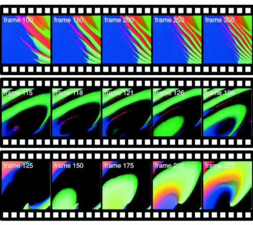 Figure 7: Examples of videos generated with a gene regulatory net- net-work.