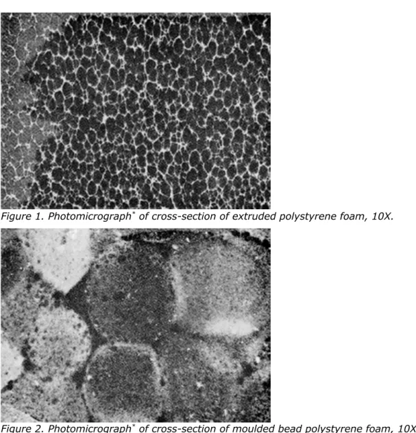 Figure 1. Photomicrograph * of cross-section of extruded polystyrene foam, 10X.