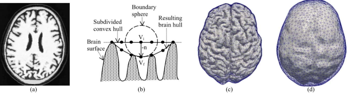 Figure 1. MRI volume segmentation and mesh processing. (a) Brain and skull segmentation masks superposed on MRI  image