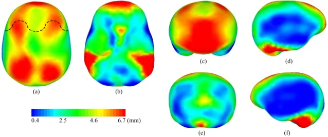 Figure 2 shows the local distance pattern between the endocast and brain hull for the dataset of 37 subjects