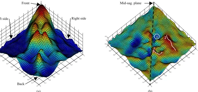 Figure 2. Distance color map pattern between the endocast and brain hull shown on the average endocranial mesh