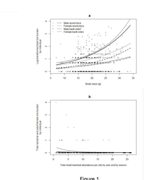 Figure 1 : Total tick burden and nymphal and adult female tick burden as a function respectively of body  mass and total small mammal abundance for wood mice and bank voles together