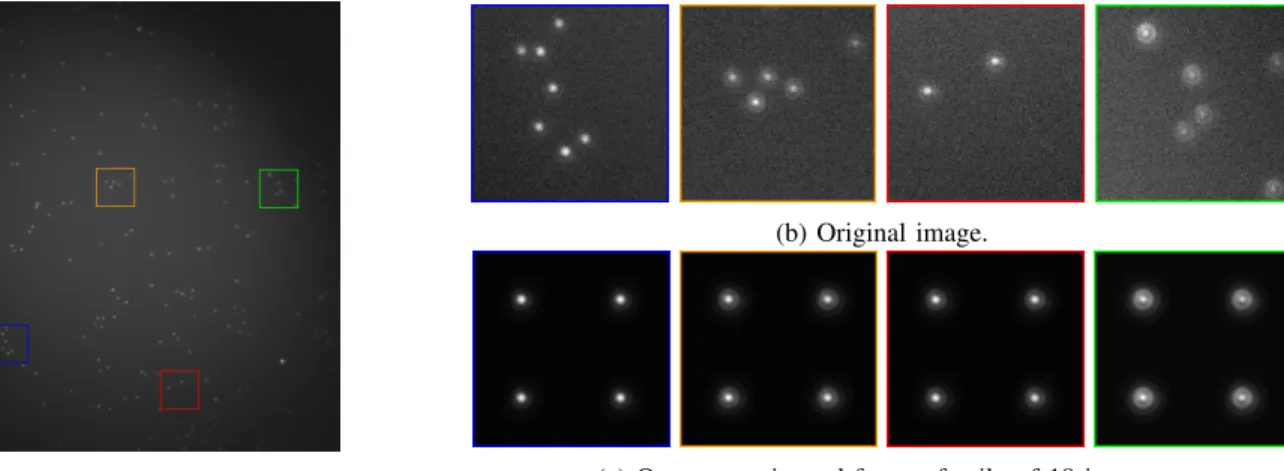 Fig. 1: Left: micro-beads imaged with a wide field microscope. Right: estimated operator with the proposed methodology.