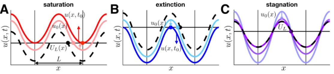Fig. 6 . Long term behavior of u(x, t), given a periodic initial condition with u L (±` L +nL) = κ,