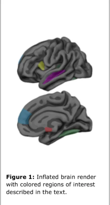 Figure 1: Inflated brain render  with colored regions of interest  described in the text