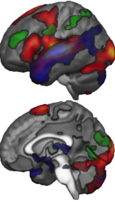 Figure 3: Lateral and medial  renders of the activated clusters  found in the left cerebral  hemisphere for the main effect  (Human &amp; Robot, hot scale) and  in the contrasts Human minus  Robot (blue) &amp; Robot minus  Human (green)