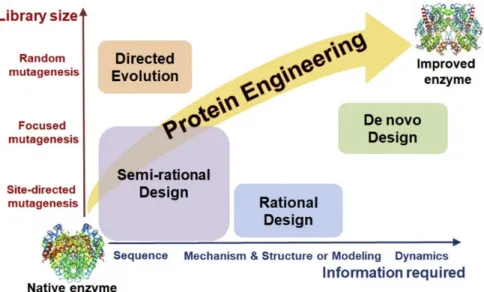 Figure 5. Protein engineering methods to improve enzyme stability. Reprinted with permission  from [87]