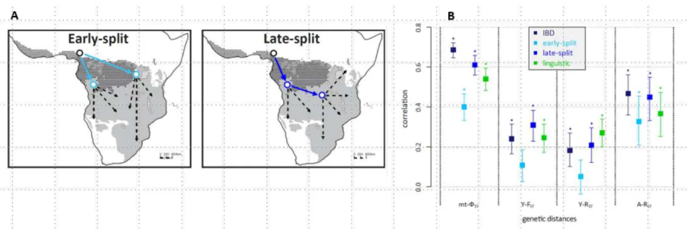 Figure 1: Using genetic and linguistic data to test models of the Bantu expansion. A: 