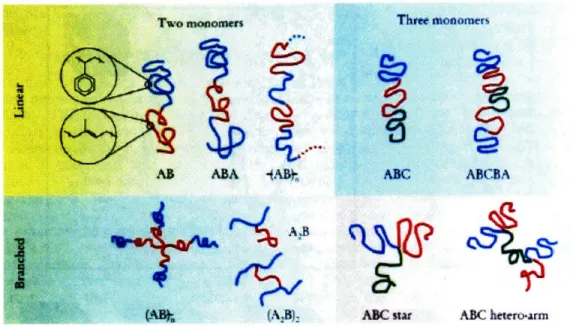 Figure II.1  Geometry  of different  types of polymers:  linear diblock  and triblock 1 .