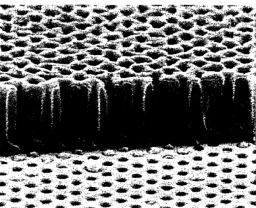 Figure  2.10:  Cross-sectional  view  of  ordered  porous  alumina  on  pre-patterned  Si