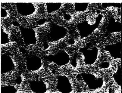 Figure 2.16: Effect of pore doubling. 2