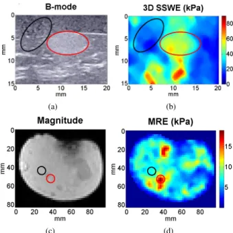 Figure 2: E mean and SD values obtained by the 2D (blue) and 3D (red) probes for 5 inclusions