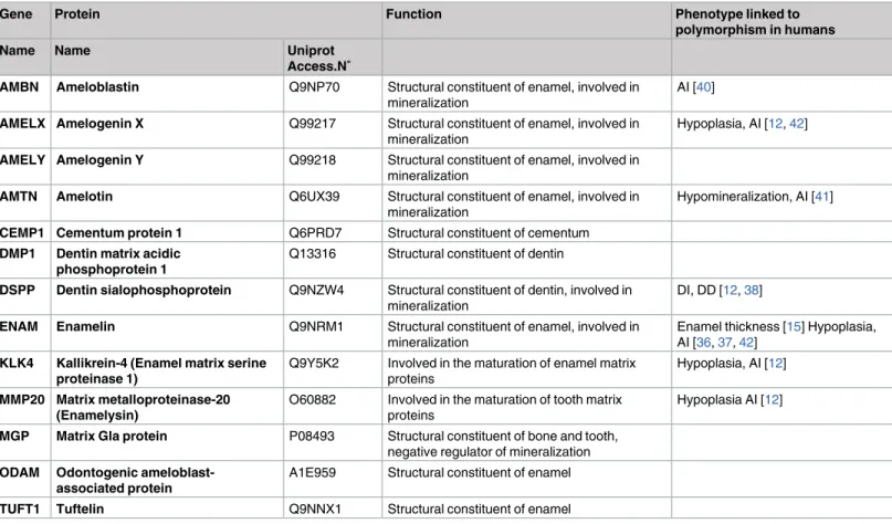 Table 1. Main non-collagenous extracellular matrix proteins present in tooth hard tissues.
