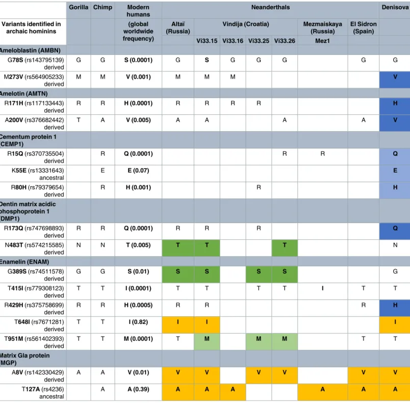 Table 2. Non-synonymous polymorphisms present in tooth proteins of Neanderthal and Denisova hominins.