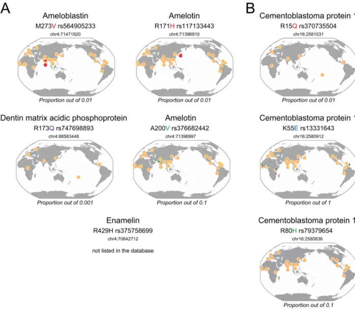 Fig 3. Geographical distribution of dental protein variants A: specific to Denisova, B: at least present in Denisova in living people