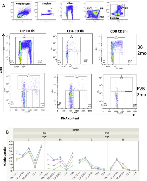 Fig.  2.  Thymocyte  proliferation  in  mice  according  to  cell  differentiation  stage,  age 198 