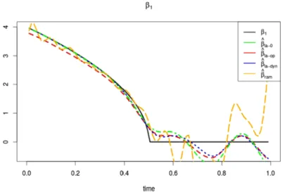 Fig 4 . An example of the estimation of β 1 (black solid line) with a sample size n = 100