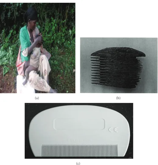 Figure 2: A few historical methods to get rid of lice. (a) Detecting lice or nits by direct visual examination; (b) wooden comb found at Ein Rachel (Negev Desert) (100 BC–200 AD) containing 10 head lice and 5 nits; (c) modern plastic comb.