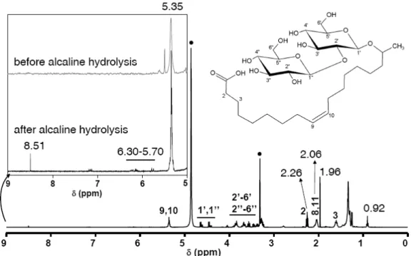 Figure 2 –  1 H NMR spectrum of the raw compound after alcaline hydrolysis. The 9-5 ppm region is  specifically highlighted to show the effect of hydrolysis on the purity compound mixture before and after 