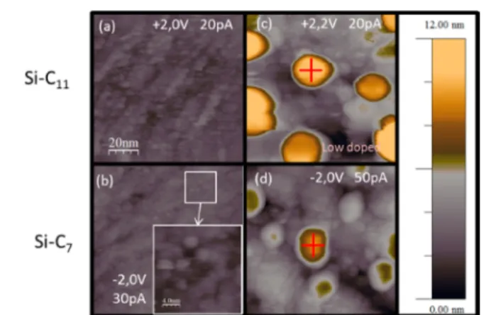 Figure 4. STM images (100 × 100 nm 2 ) of diﬀerent surfaces of organic layers grafted with a Si−C bond to the Si(111) substrate.