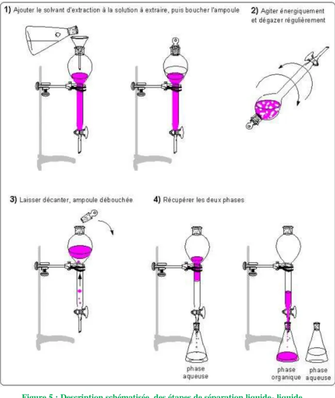 Figure 5 : Description schématisée  des étapes de séparation liquide- liquide   à l’ampoule à décanter 