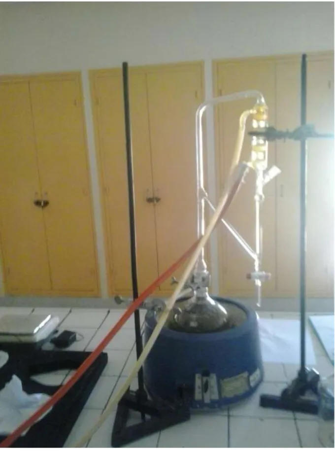 Figure 2 : Montage d’hydro-distillation « Clavenger » 