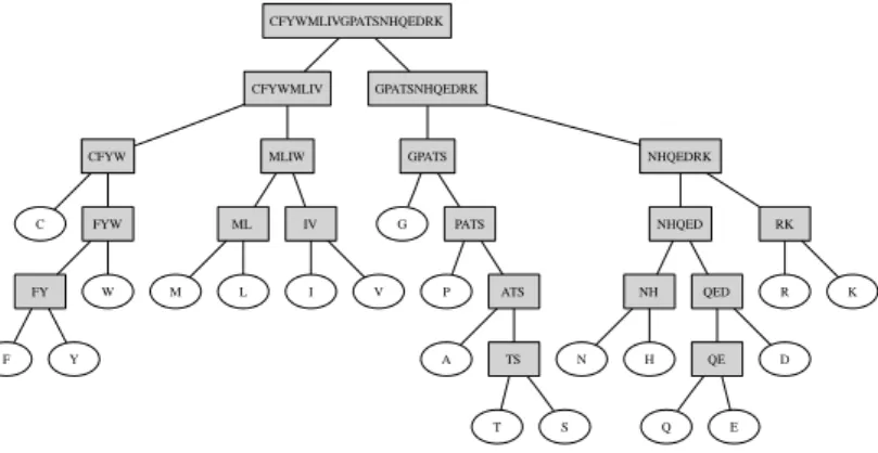 Fig. 2. Hierarchical tree derived from [20].