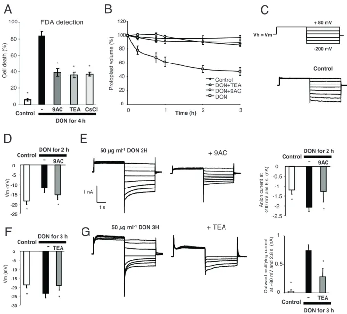 Fig. 3. DON-induced changes in plasma membrane potential and ion currents in BY2 tobacco cells