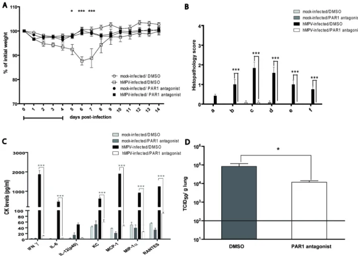 Figure 2.  Effect of PAR1 antagonist on hMPV infection during a 5-day treatment in mice