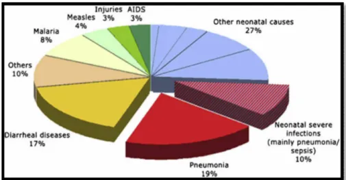 Figure 4 : Répartition de la mortalité par causes chez l’enfant 