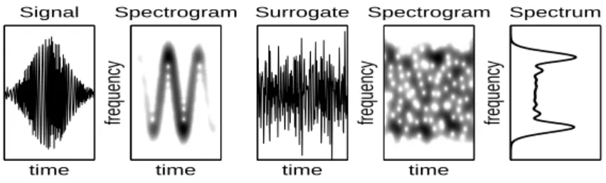 Figure 1: Time-Frequency View of Surrrogates. Left to Right: a nonstationary signal; its spectrogram;
