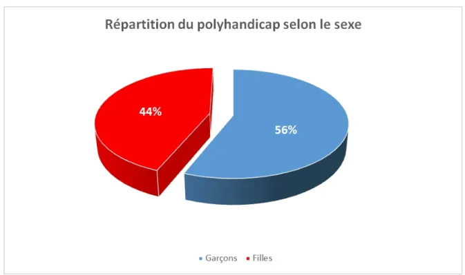 Graphique 1 : Répartition du polyhandicap selon le sexe. 
