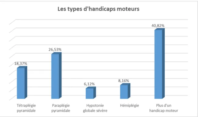 Graphique 2 : Les types d’handicap moteur. 