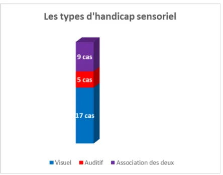 Graphique 3 : Les types d’handicap sensoriel. 