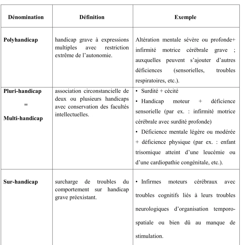 Tableau 4 : Les trois grands groupes d’handicaps associés. 