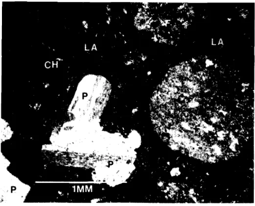 FIGURE 15. HOLE 12 # 1. NORMAL LIGHT. X 25.