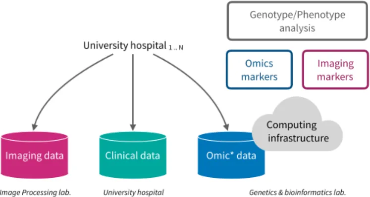 Fig. 1. Leveraging heterogeneous data repositories when studying intracranial aneurysms development and rupture cases