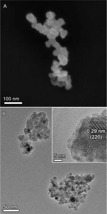 Figure 4. (A) SEM and, (B) TEM images of g Fe 2 O 3 /SiO 2 particles. The inset in (B) shows the HRTEM image the edge of a single g Fe 2 O 3 /SiO 2 particle.