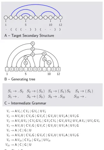 Figure 1: Illustration of the grammar construct in the absence of positional constraints: Any target secondary structure S (A) can be abstracted as a tree (B) through a linear-time parsing, from which one derives an intermediate grammar (C) whose sole  pro