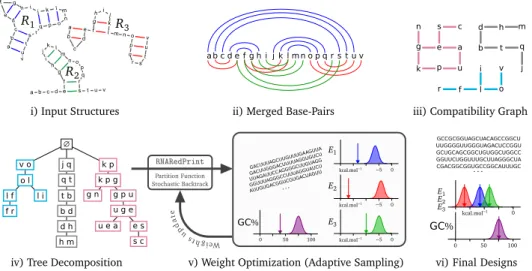 Fig. 1. General outline of RNARedPrint for base pair-based energy models. From a set of target secondary struc- struc-tures (i), base-pairs are merged (ii) into a (base pair) dependency graph (iii) and transformed into a tree  decom-position (iv)