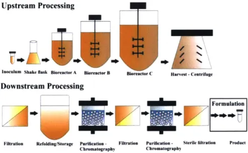 Figure 2-1: Simplified workflow for a biomanufacturing  process [23]