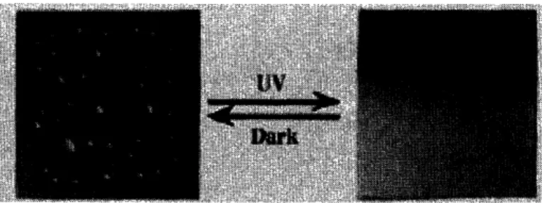 Figure 8:  Effect of UV radiation  on TiO 2  coated  glass, Nature  1997,  388,  431-432.