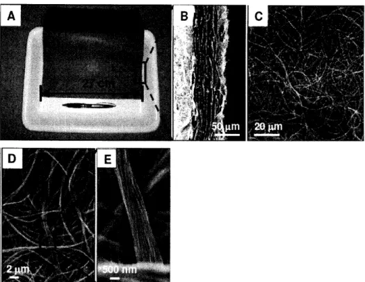 Figure  2:  Nanowire paper structure (SEM  image at different  magnifications)  [2]
