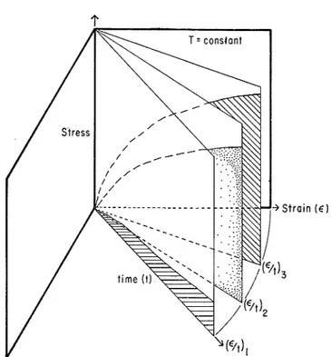 Figure 6-Individual  tensile curves illustrated  in a  three-dimensional co-ordinate system 