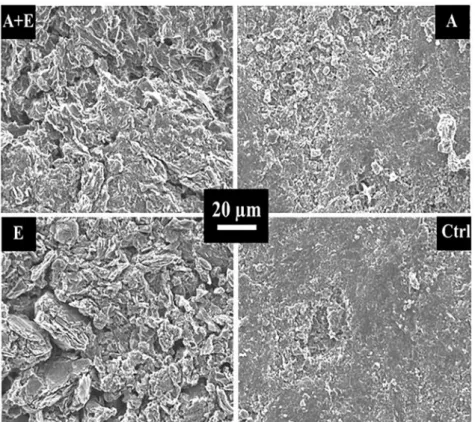 Figure 1. SEM images of treated graphite surfaces (A + E, A, E) and non-treated commercial graphite surface (Ctrl)