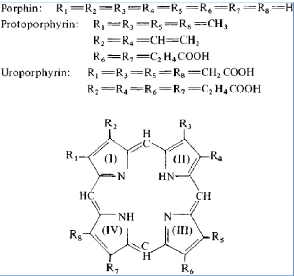 Figure 13 : structure des porphyrines(57). 