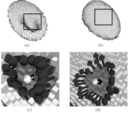 Fig. 6. Vectors layout on the outline of a patch (a, c) in a convex area and (b, d) in a concave area.